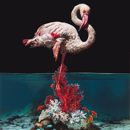 thecollectibles - Hyperrealistic paintings by Lisa Ericson