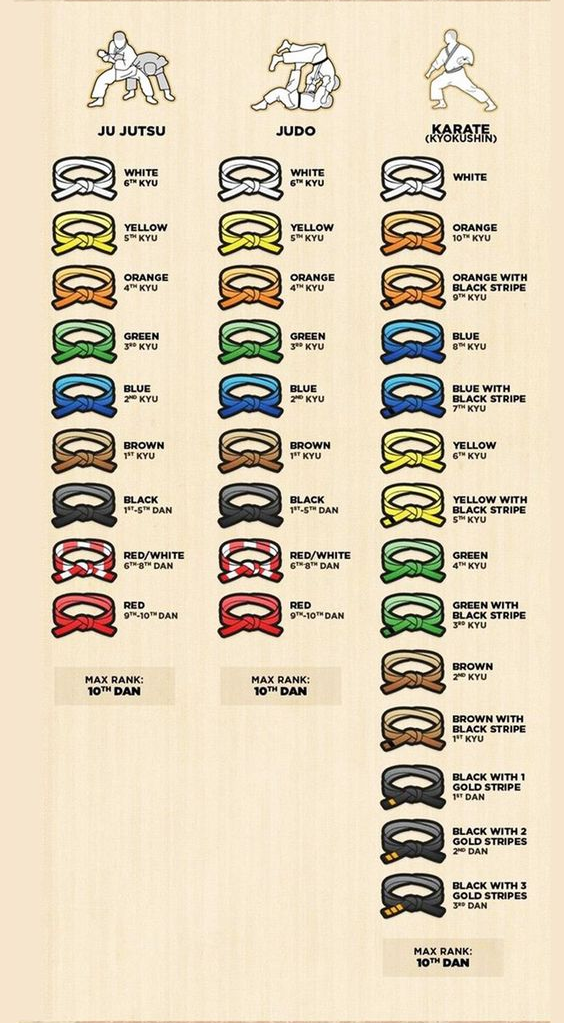 parkour-freerunning-feiyue: Martial Arts Belt Ranks~ follow back if you like it 