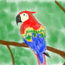 dreams-parrot avatar