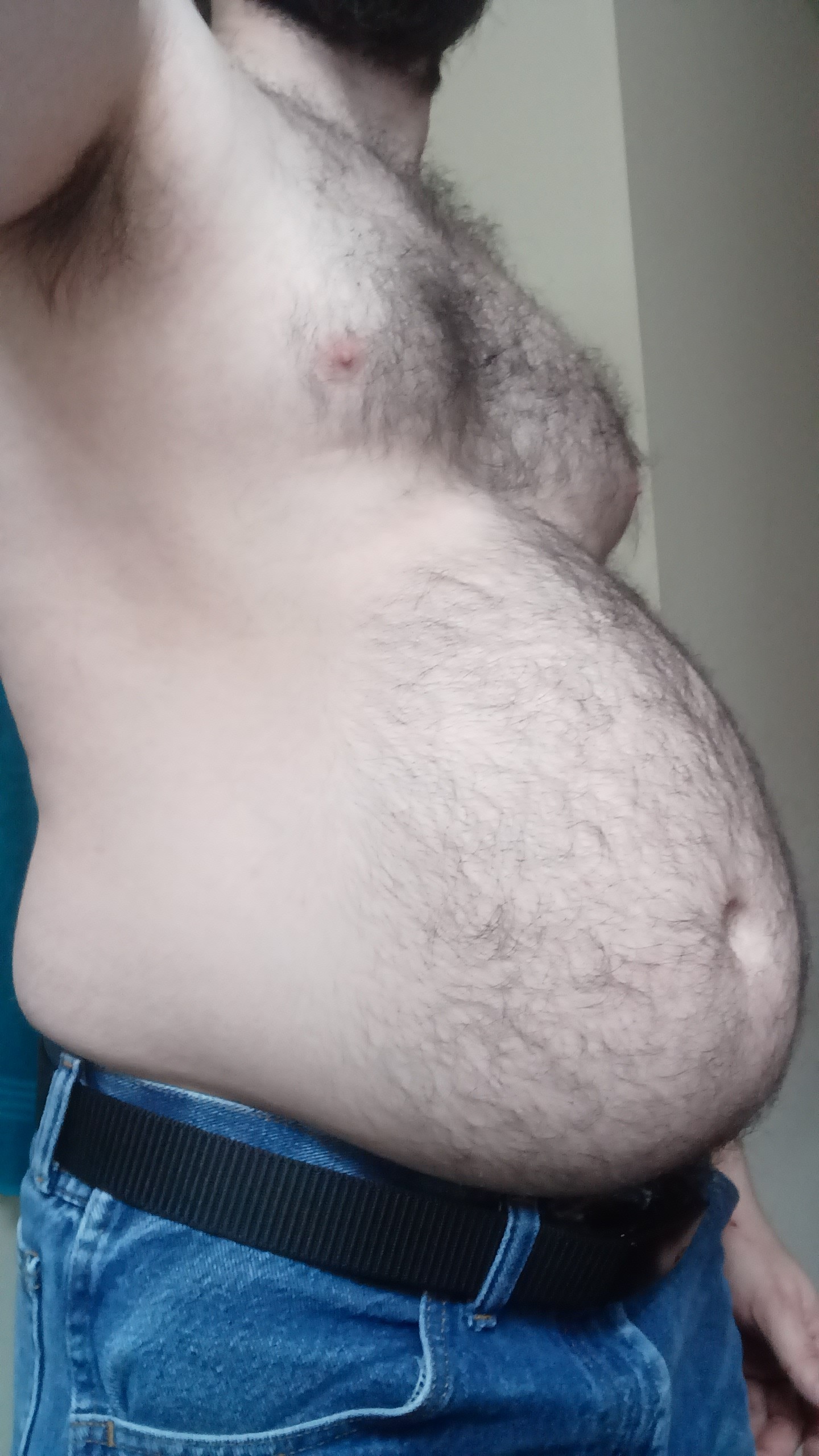 gainerfox21:Chubby fox requires more blubberGood morning ;)
