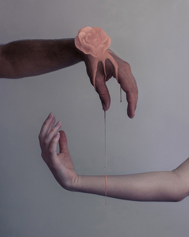 wetheurban:  Roses, Brooke DiDonato In Brooklyn-based photographer Brooke DiDonato’s “Roses”