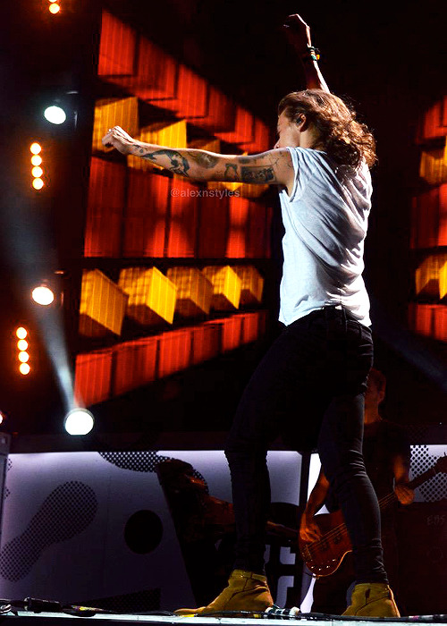 Harry on stage in Baltimore! (August 8 2015)