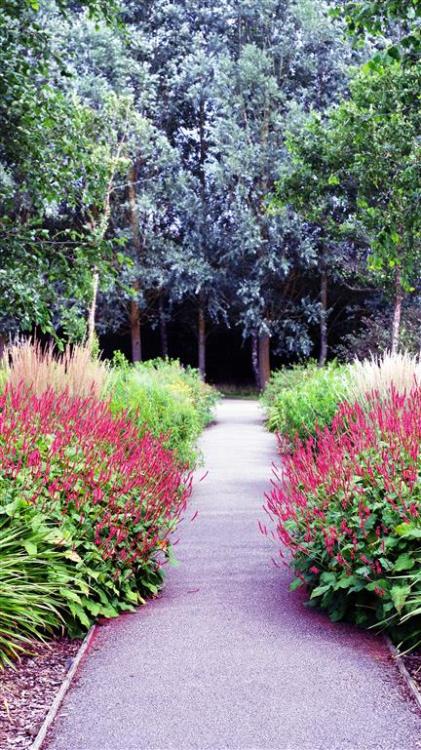 Down the garden path.Snapped at Breezy Knees Gardens, North Yorkshire. England.