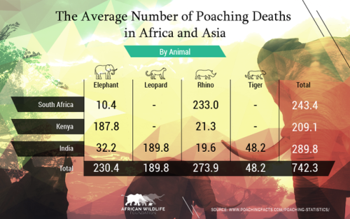 EXCLUSIVE: RHINO POACHING IN AFRICA SPIKED BY 9,000 PERCENT IN SEVEN YEARS, DEVASTATING REPORT SHOWS