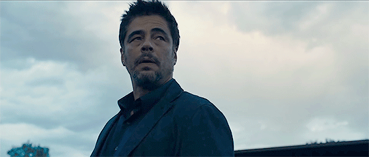 annedorvals:Benicio Del Toro in Sicario (2015)