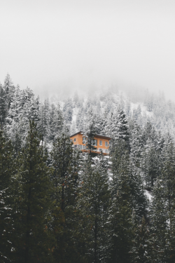 expressions-of-nature: by Eric Van Ryswyk Lone House, British Columbia 