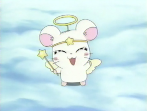 hamtaro