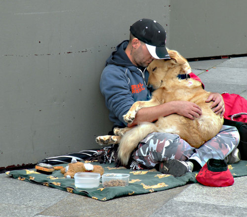 canadianbeerandpostmodernism:  “Once a dog forms a close relationship with a caring owner, their loyalty can be unbreakable, and they will stick with their owner through thick and thin. And unlike us, dogs don’t pass judgment on people who are down