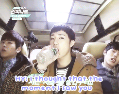 hoaegi:  sharp tongue hoya strikes again  