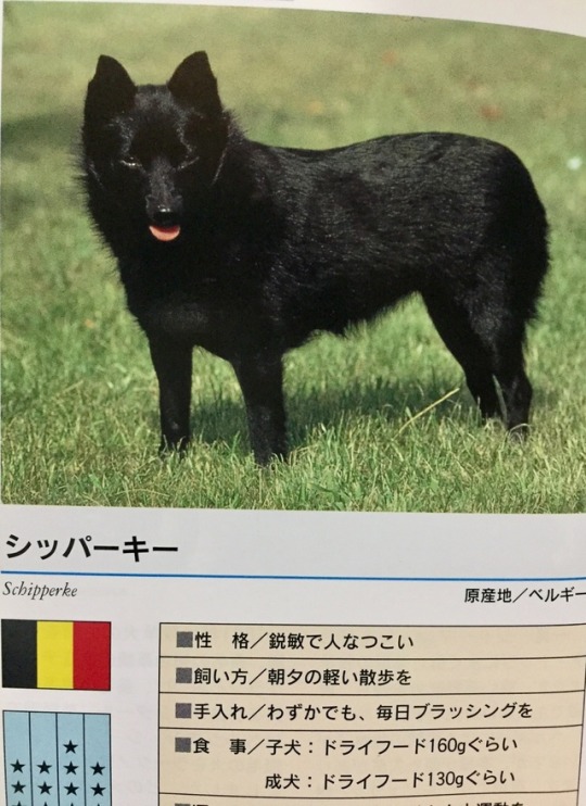 Ken Yen Tumblr Blog With Posts Tumbral Com