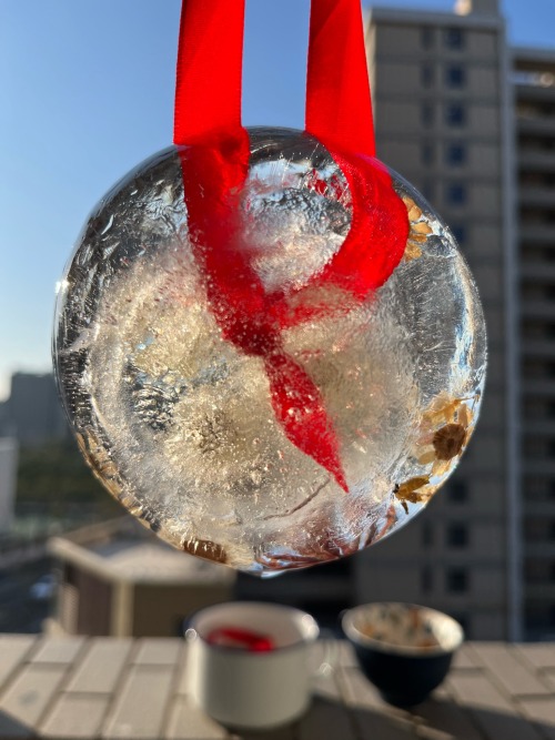 Its Winter Solstice Today! I Made Some Ice Hanging Decorations With Dried Flowers This Morning