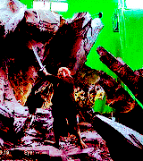 thorinds:Top 15 Hobbit cast members as voted by fans: Number three “One of the things I’m really ple