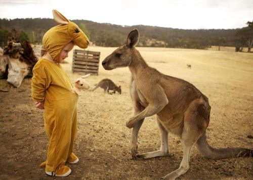 creepicrawlies:  “Wait a minute…” Photo: Jen Rayner Photography at Zoodoo Wildlife Park, Richmond, Tasmania.  Lol