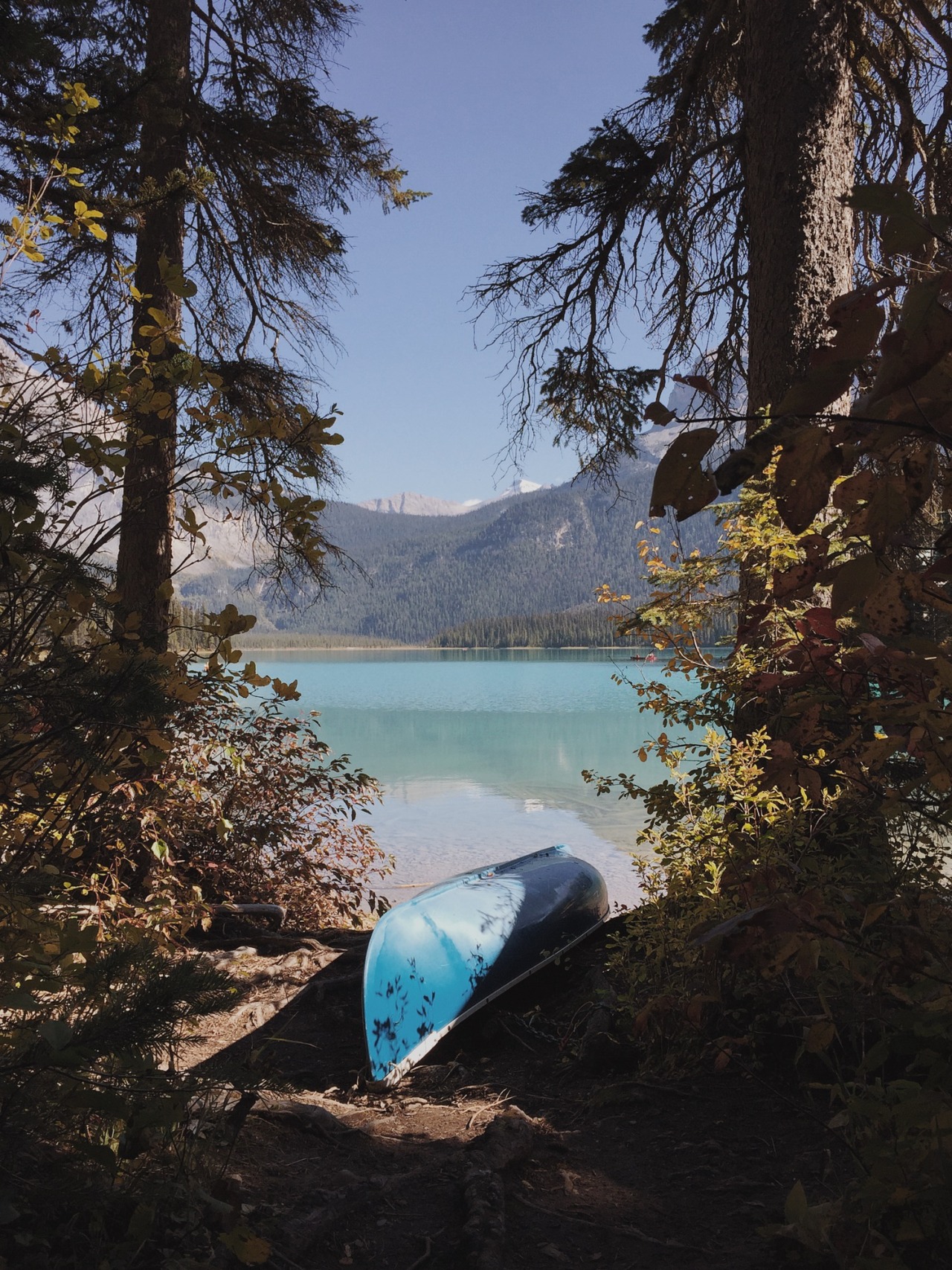 danielodowd:  http://sheafriesen.vsco.co/