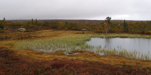 michaelnordeman: On the way down from Östertangen in Dalarna, Sweden. 