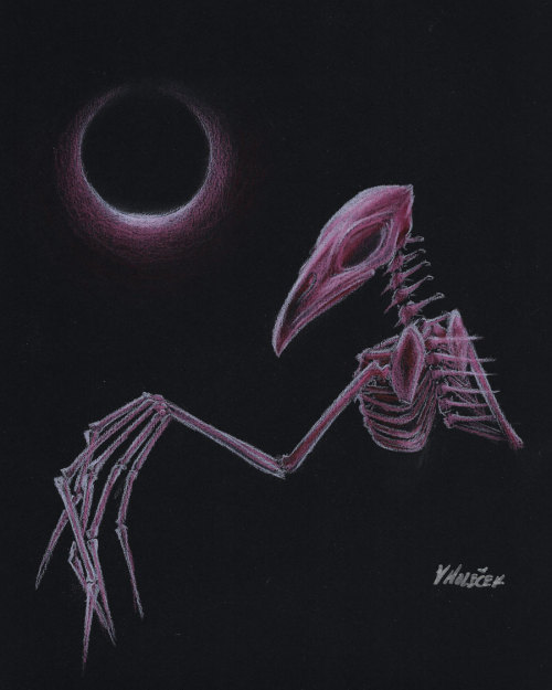 Pink, 2024, Colored Pencil Drawing On Black Paper. Original Drawing Available On The Site Shop: Https://www.schamballah.com/shop/pink-original-colored-pencil-drawing-with-embellished-frame