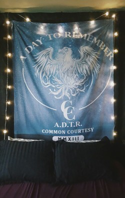 hopefortheday:In love with my first flag/tapestry