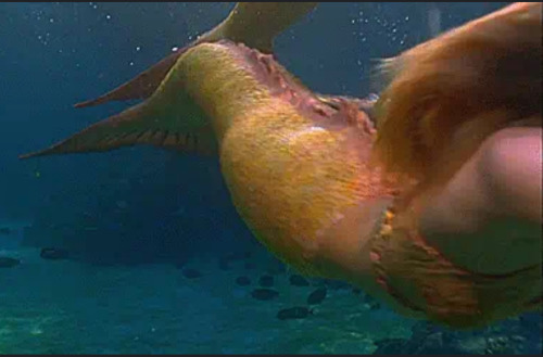 I Dont Think Ill Ever Grow Out Of My Love Of Mermaids. I Think About How They Started Out As Sirens Or