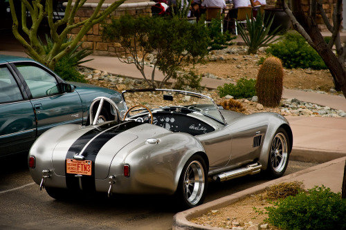 desertmotors:  Superformance Cobra 427   I said holy shit!