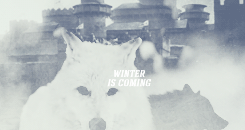 dragonborn:  You Westerosi are all the same. You sew some beast upon a scrap of silk,