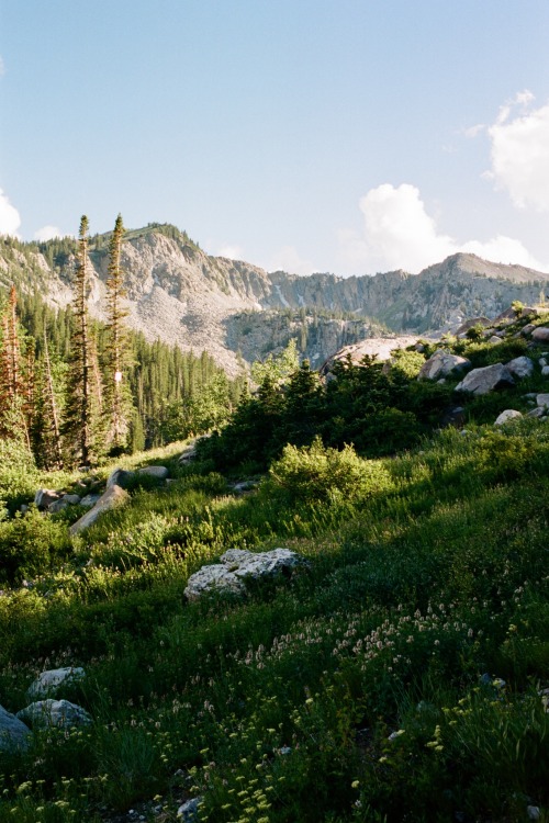 Trail Views Pt. 6 | My Photobook Frames Of The Wasatch Is Now Available!