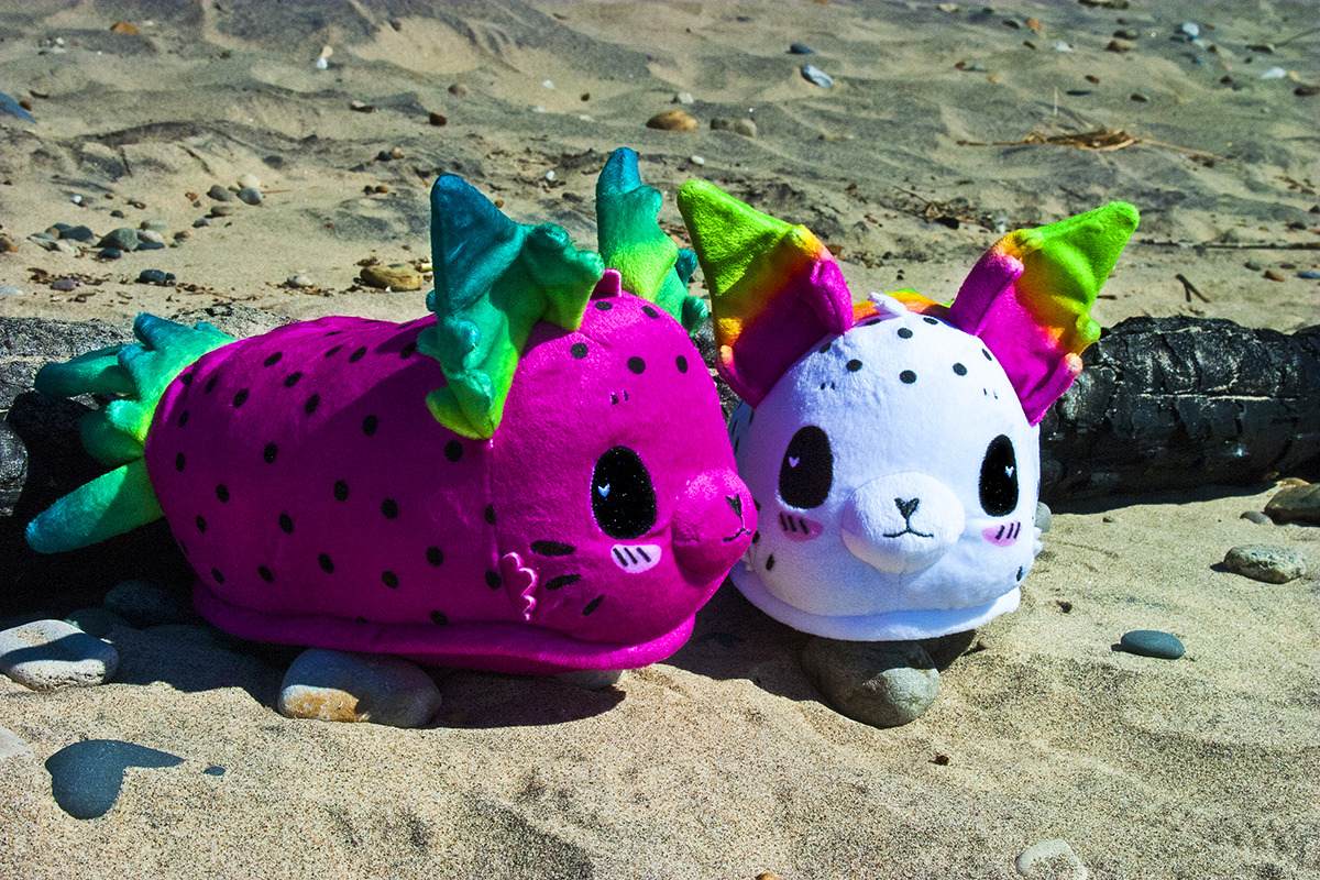 sorbetjungle:  Sea Bunnies go to the beach!Yesterday our sea bunnies got to take