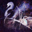 cygnodectus