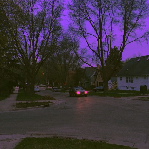 shoegaze-babe:  Home