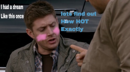 angrysouffle:  Suspicious Screencaps Everything Is Fine.