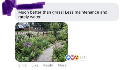 headspace-hotel:Mom sent me a facebook link to a PBS news hour post about how the anti-lawn movement is growing. The vast majority of the comments on it were stuff like this: Most people are on our side here, even the so-called “boomers.”