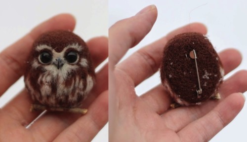 Sadly those aren’t two happy owlets. They’re brooches, as noted by the eagle-eyed PicPed