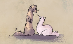 shadeykris:  I didn’t know what to draw so I drew ferrets.   thank you &lt;3