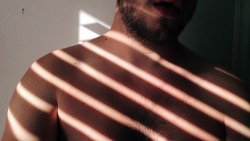 fortfeelinmyself:  sun striped. 