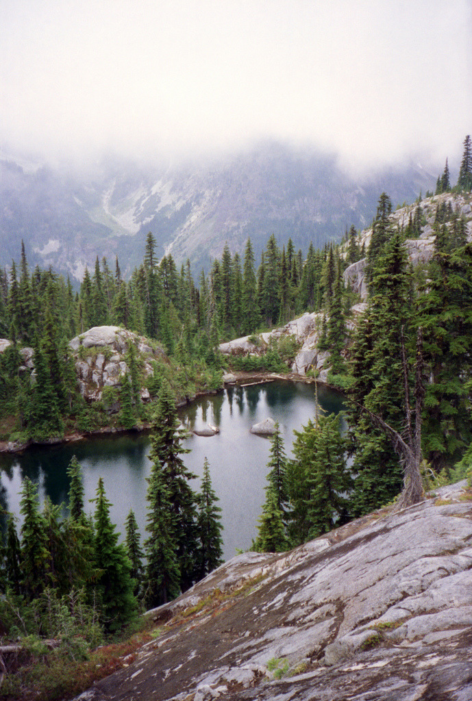 vhord:  zoe-rh:  lastinq:  //nature//  welcome to earth  strictly nature