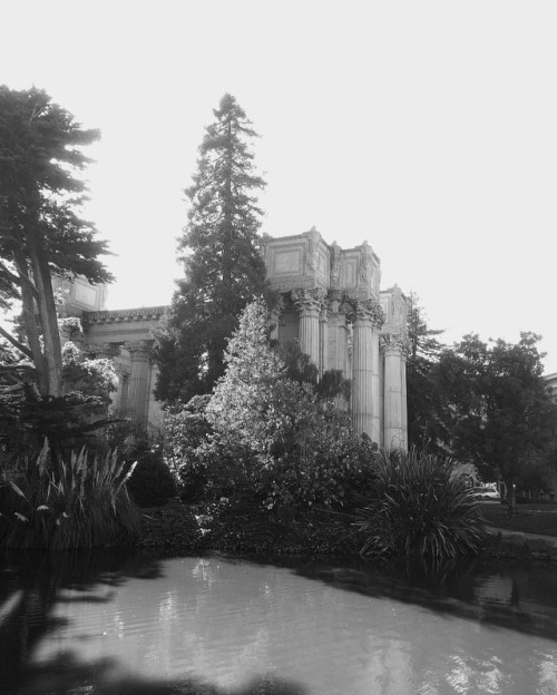 A shrine to the arts - the San Francisco ‘Palace of Fine Arts’ was pretty amazing to see in person. 