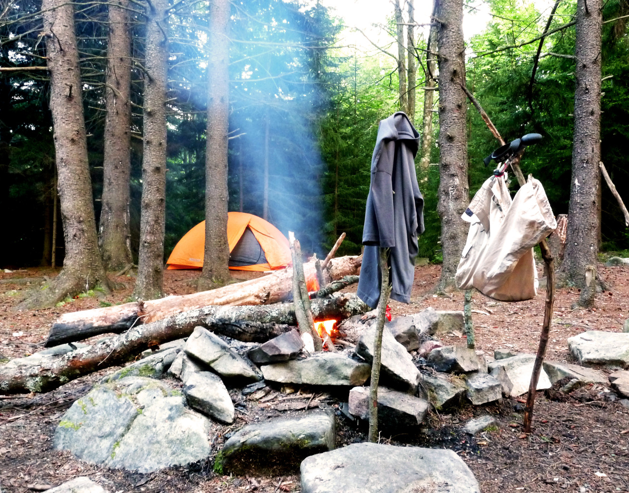 currentswoodlandsandranges:  Dolly Sods Wilderness area, WV. 