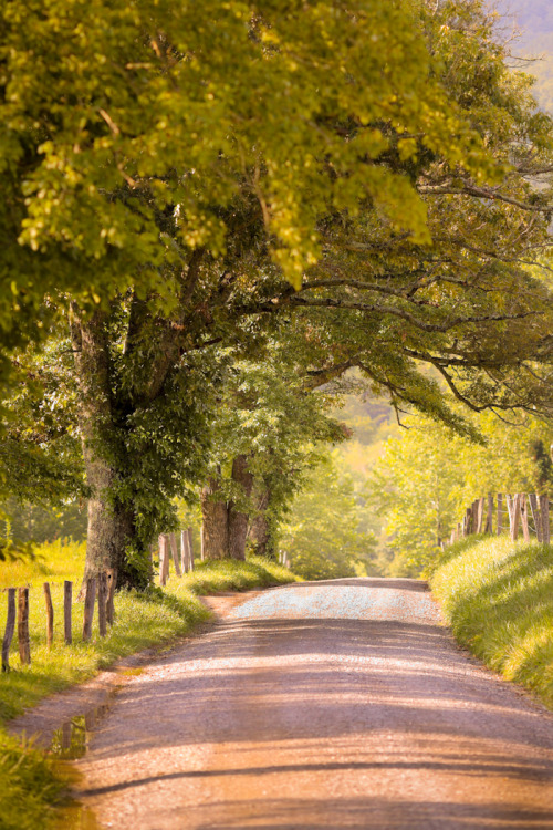 hueandeyephotography:Country Road in the Summertime, Cades Cove, Great Smoky Mountains National Park