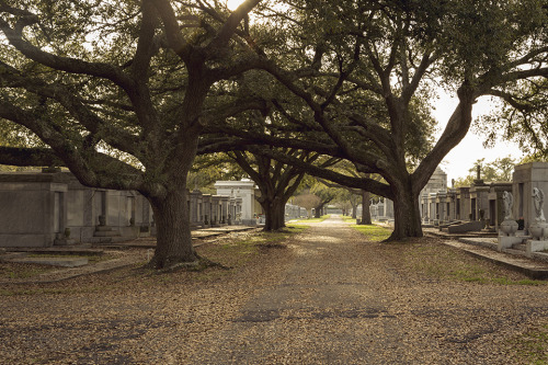 Metairie Cemetery in New Orleans (my favorite)