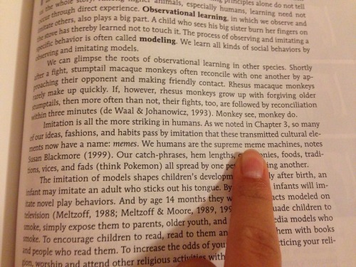 holmgangs:rydenaf:my 2001 psychology textbook literally describes people as “supreme meme machines” 