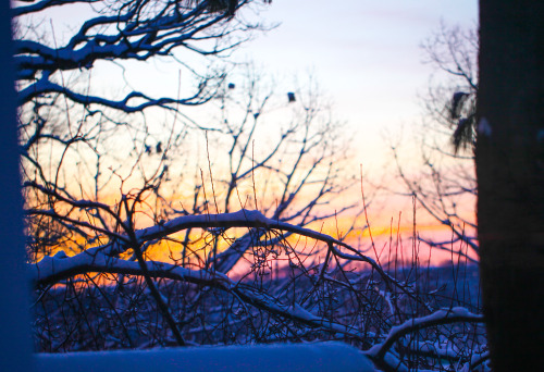 Olenko’s Raw Vegan Winter Fruity Sandwich  Christmas Season is here! I love snow, winter sunsets, lo