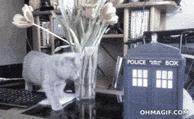 mietzi-meow:  This is how I watch Dr. Who 