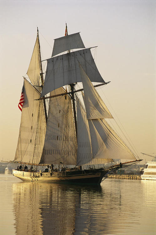 emilanton:  The Pride Of Baltimore Clipper Ship 