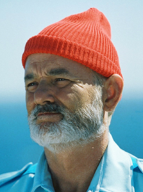 Bill Murray (The Life Aquatic with Steve Zissou, 2004)