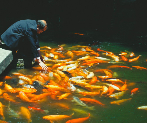 citronellaforalgernon:  jakeinshanghai:  Leisure time  Yu Gardens, Shanghai  My crowning achievement