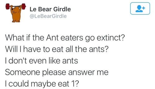 he chose the bees
