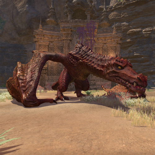I Really Wish These Dragons Would Go Elsewhere!