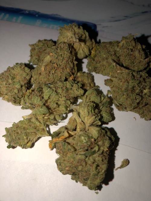 Sour Diesel #5