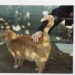 blue-blue-white:【In the palm of your hand】..すぐにこのタイトルが浮かんだ今朝は感覚が澄んでいる With a clear head..