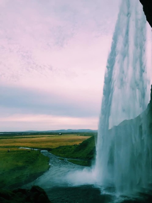 wiildness:a waterfall in Iceland | photo by Amanda Koechel (2019)pls don’t alter the text as it provides credit for this