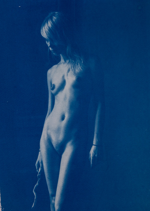 pierotoffano: pierotoffano kelevra cyanotype 